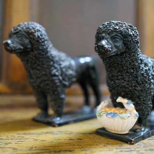 Rare Pair Of Early 19Th Century Neapolitan Black-Glazed Terracotta Poodles 1810