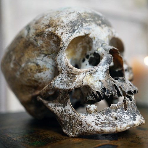 A Relic Patinated Human Skull Pre C.1900