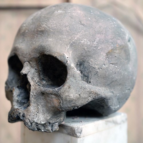 Early/Mid 20Thc Papier-Mâché Model Of A Human Skull On Marble Stand