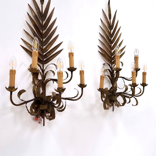 French Pair Of  Palm Leaf Sconces 