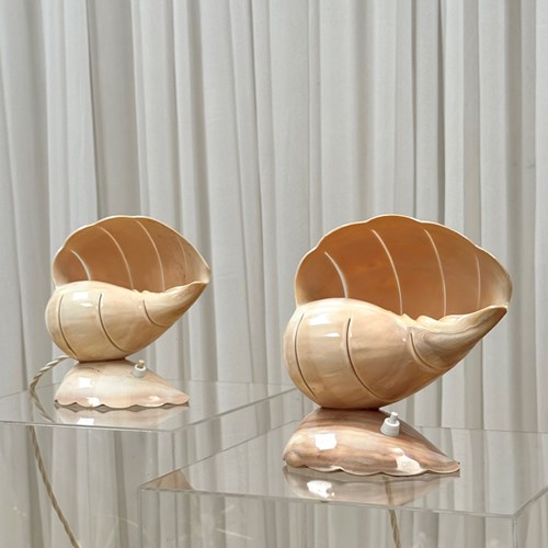 Seashell Table Lamps, 1950’S Italy 