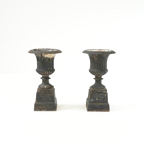 Pair Of Cast Iron Campana Urns On Plinths
