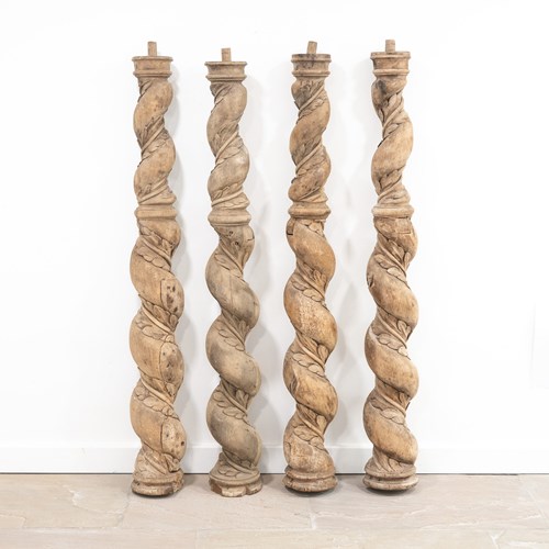 Continental Poplar Wrythen Columns