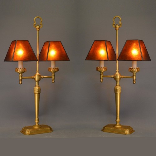 Unique Pair of desk/mantle lamps with mica shades