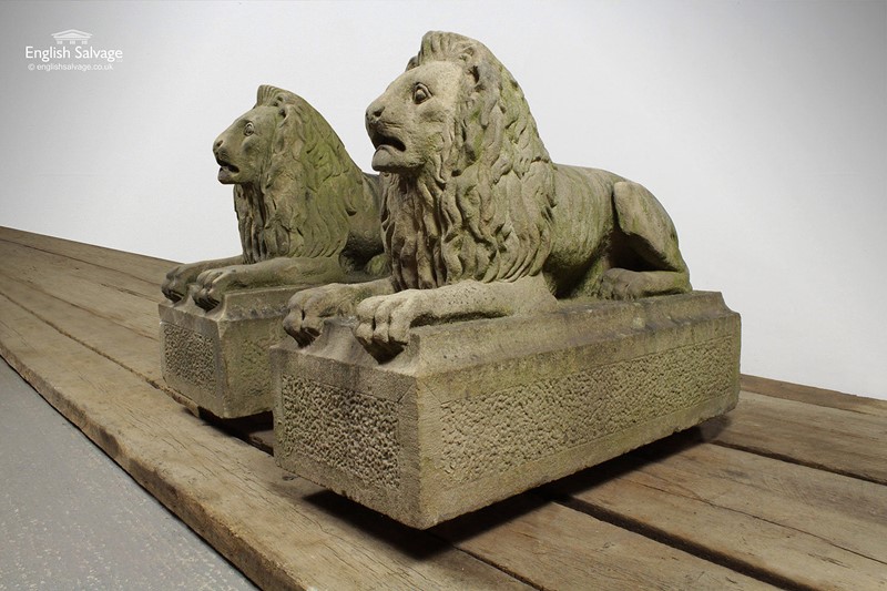 Antique 19th century pair of stone lions-english-salvage-antique-19th-century-pair-of-stone-lions-25171-pic5-size3-main-637696333634014083.jpg