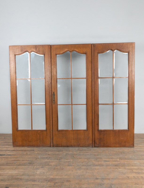 Set Of 3 Mid Century Reclaimed Glazed Doors-english-salvage-b4569-doors-listing-image-main-638107641531976912.jpg