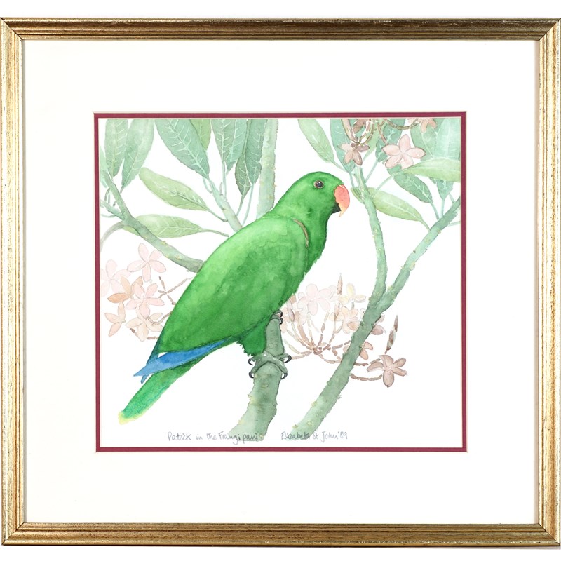 Male Eclectus Parrot Watercolour By Elizabeth Stjohn-epilogue-one-antiques-pic1-main-638081012296701057.jpg