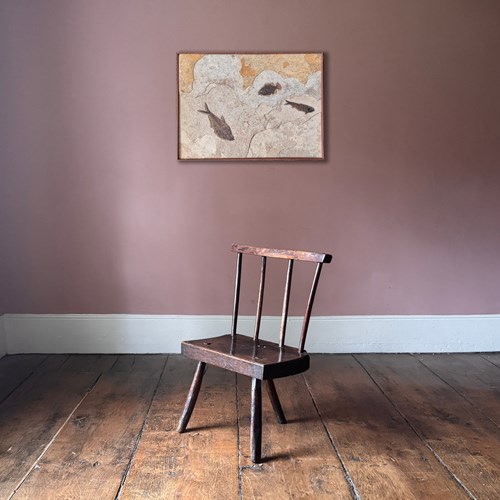 Fossilised Fish Mural (Framed)