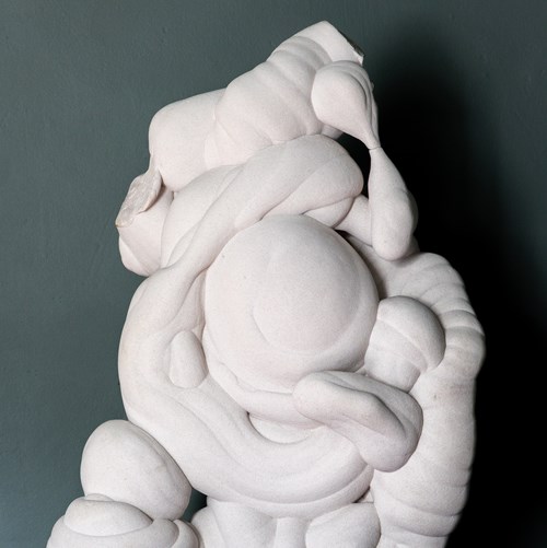 An Elegant Gogotte Formation