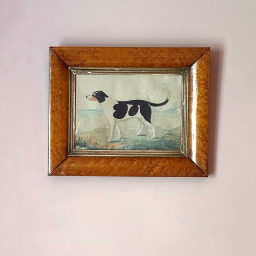 19Th Century Folk Art Dog Portrait