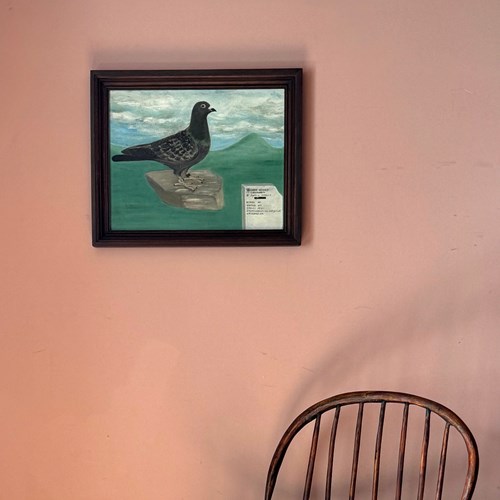 Early 20Th Century Pigeon Portrait
