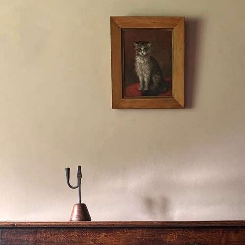 19Th Century Cat Portrait