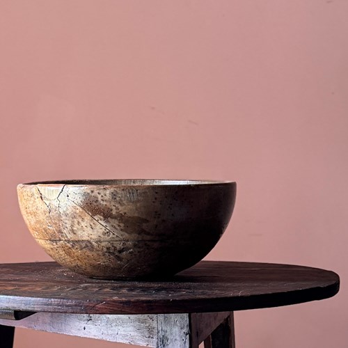 Very Large 19Th Century Sycamore Dairy Bowl