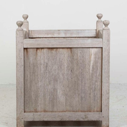 Large Teak Orangery Box Planter