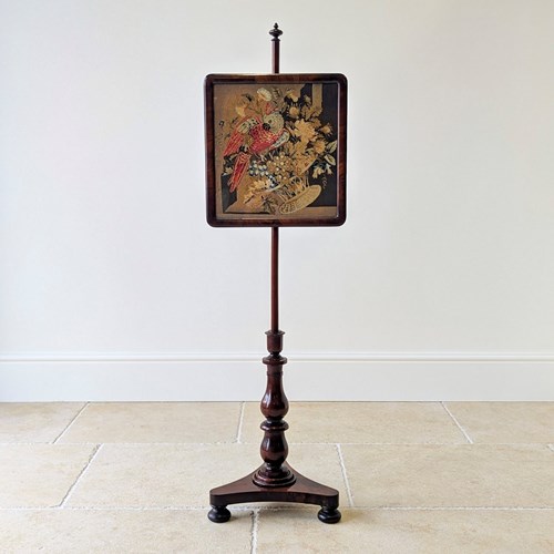 Antique William IV Rosewood Pole Screen C.1830