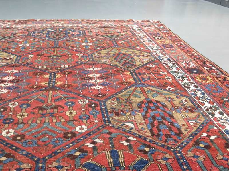 Baktiar Carpet, Persia-gallery-yacou-a27015--4-main-638155107654003573.JPG