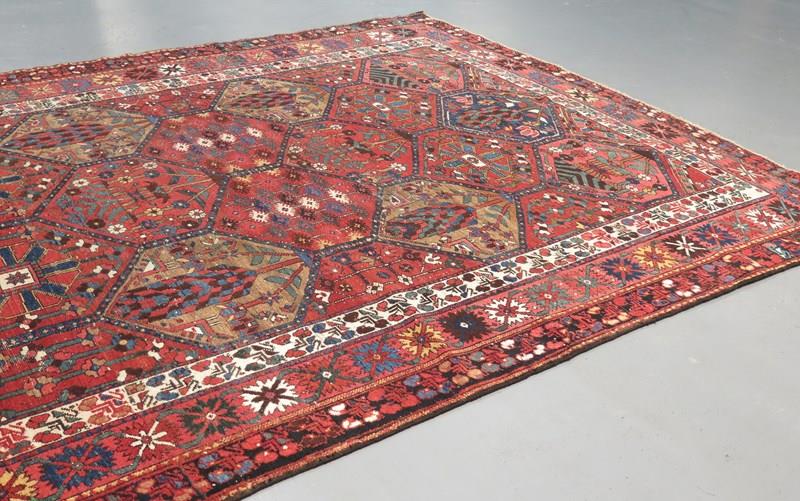 Baktiar Carpet, Persia-gallery-yacou-a27015--7-main-638155108249479944.JPG