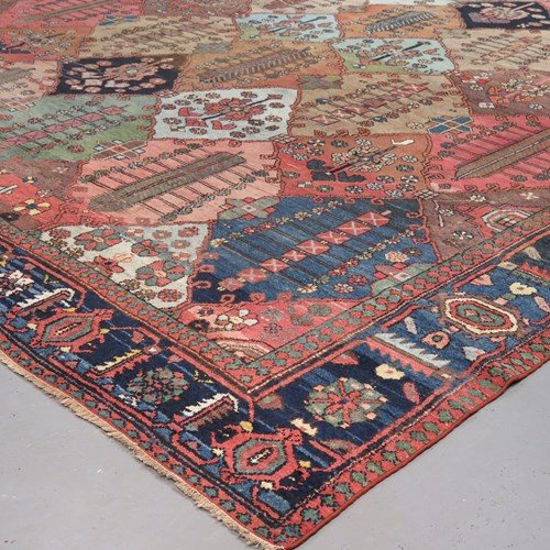 Unusual Baktiar Carpet