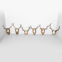 6 Pairs of Mounted Antlers