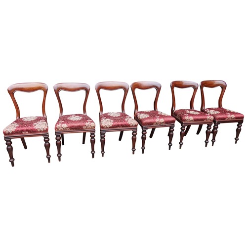 Set Of 6 Scottish Victorian Mahogany Dining Chairs
