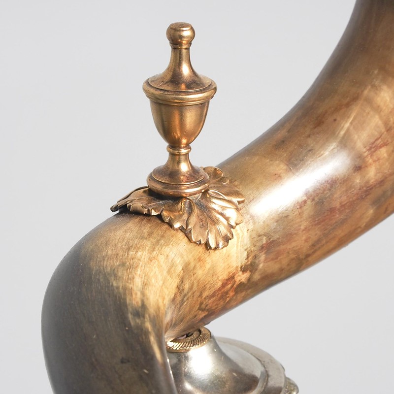 Swedish Mounted Horn Trophy-georgian-antiques-5-5-horntrophy-1629896630lggds-main-637655873100579016.jpeg