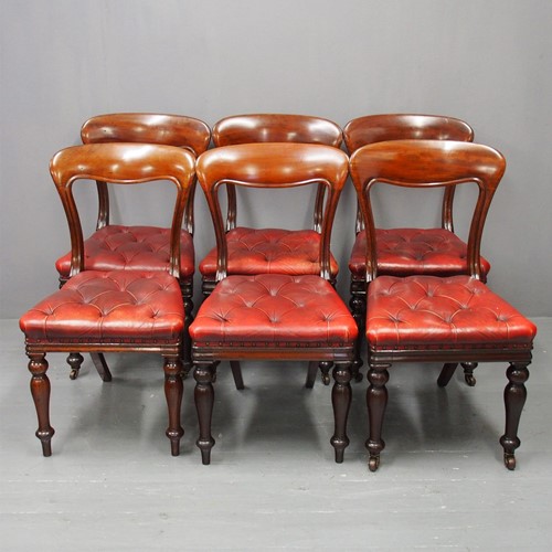 Set of 6 Edinburgh Style Mahogany Dining Chairs