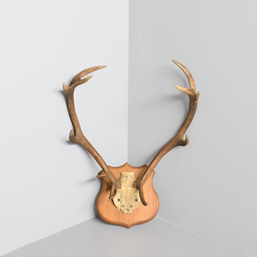 Pair Of Mounted Antlers