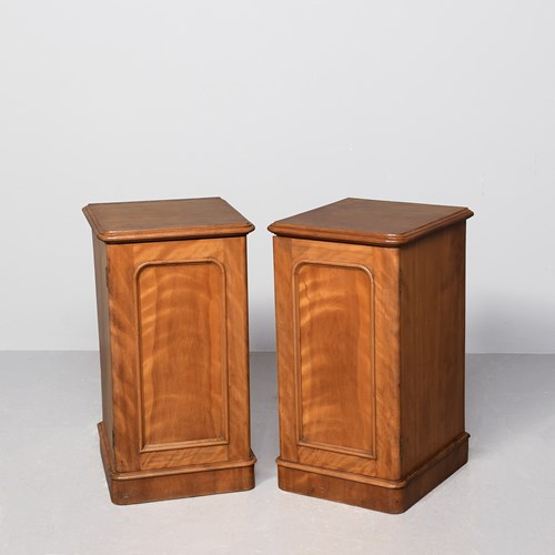 Pair Of Victorian Satin Birch Bedside Pedestal Cabinets