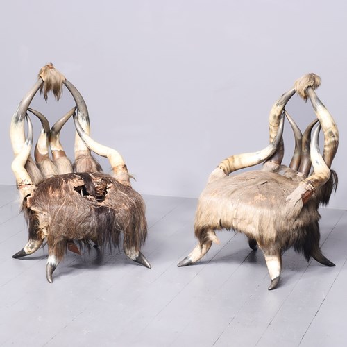 Pair Of Cow-Horn (Bovine) Easy Chairs