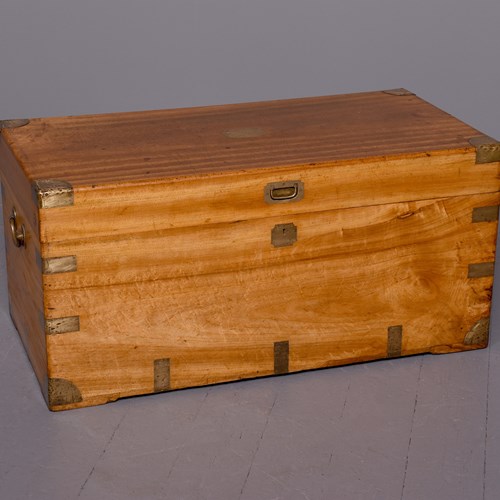 Large Victorian Brass-Bound Solid Camphorwood Trunk With A Renowned Hong Kong Ma