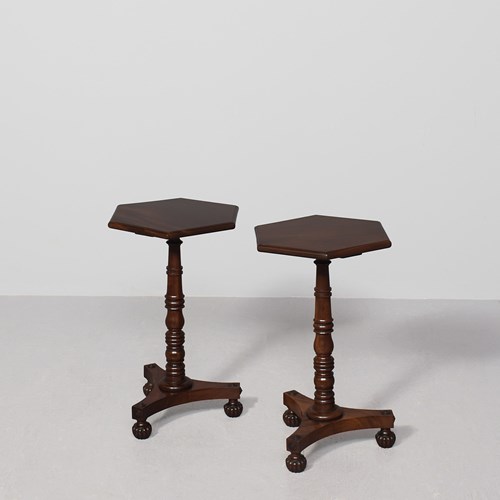 Rare Pair Of William IV Neat-Sized Occasional/Wine Tables On Beautiful Bases