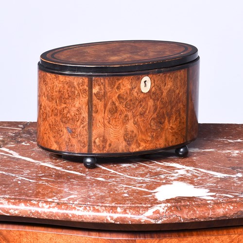 Unusual Anglo-Indian Ebony Inlaid Burr Padouk Oval Jewellery Box