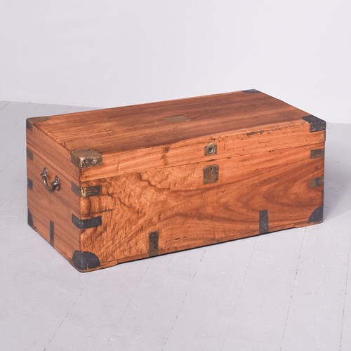 Large Solid Camphorwood Brass Bound Campaign Trunk