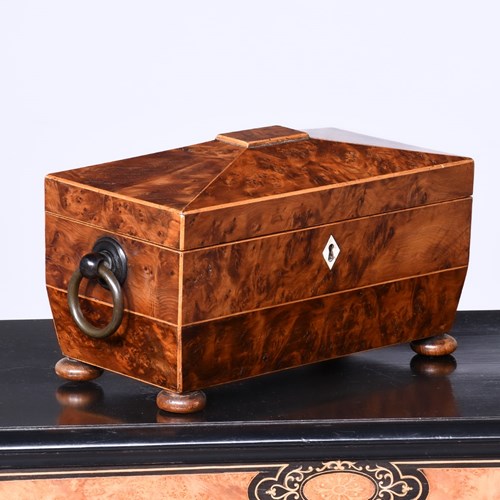 Regency Burr Ewe Sarcophagus Shaped Tea Caddy