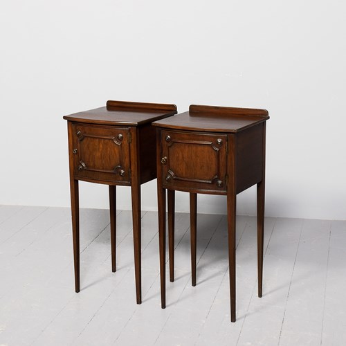 Rare Pair Of 19Th Century Georgian Style Mahogany Bow-Front Lockers