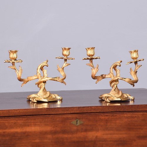 Pair Of Exquisite French Ormolu (Gold Covered Bronze) Two Branch Candlesticks 