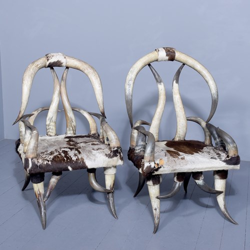 Large Pair Of Zoomorphic Long Horn Armchairs