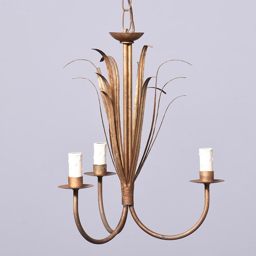 3 Arm Gilded Chandlier