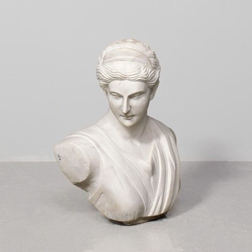 White Marble Bust Of A Classical Lady.