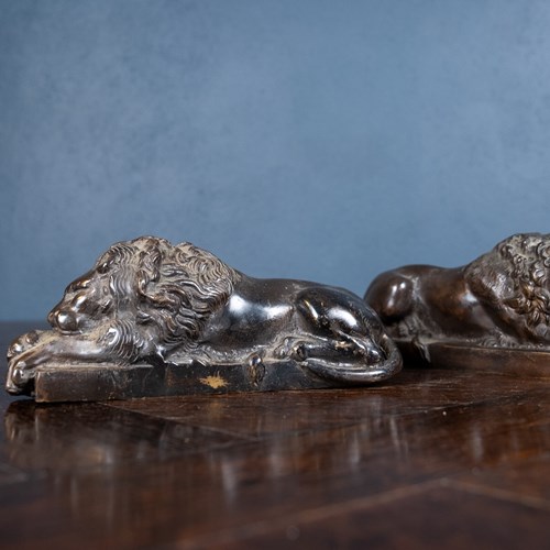 19Th Century Bronze Lions After Anthony Canova