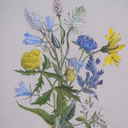 Barbara Watson (Fl. 1956) - Still Life Of Wild Flowers. Gouache.