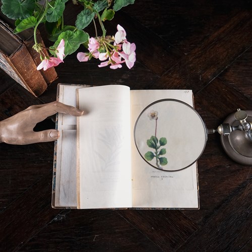 1816 The Linnaean System Of Botany. First Edition.