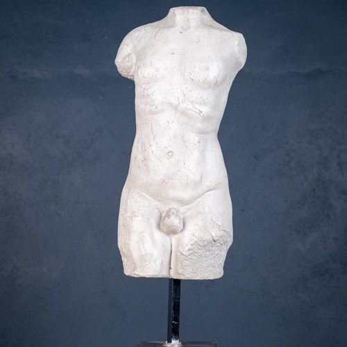 Classical Male Torso Plaster Cast On Marble Base