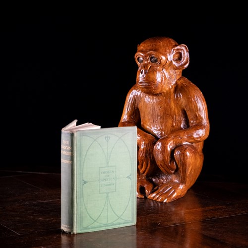 1900 The Origin Of Species By Charles Darwin