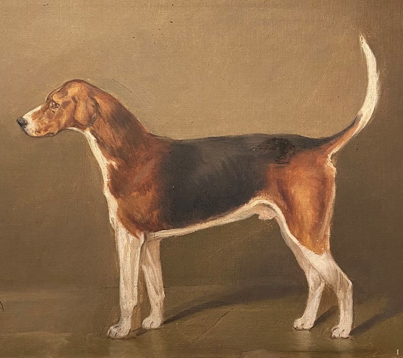 A Portrait of a Foxhound-hugos-antiques-img-3581-main-637423440765135209.JPG