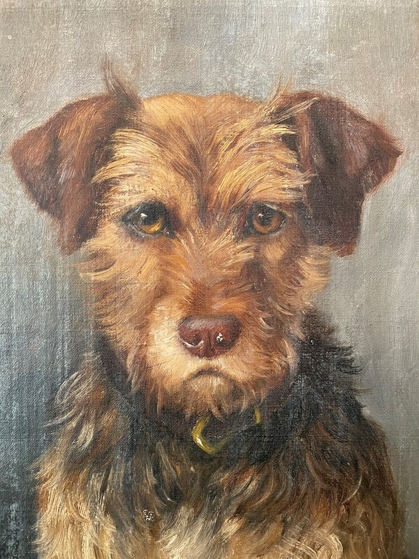 Portrait of a Terrier-hugos-antiques-img-3590-main-637423449636661183.JPG