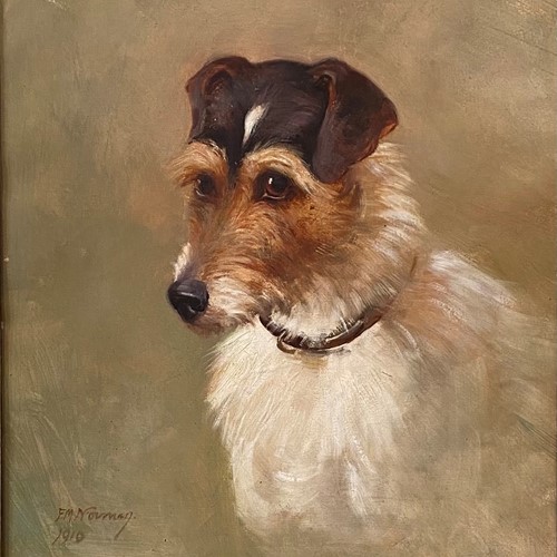 A Portrait Of A Jack Russell 