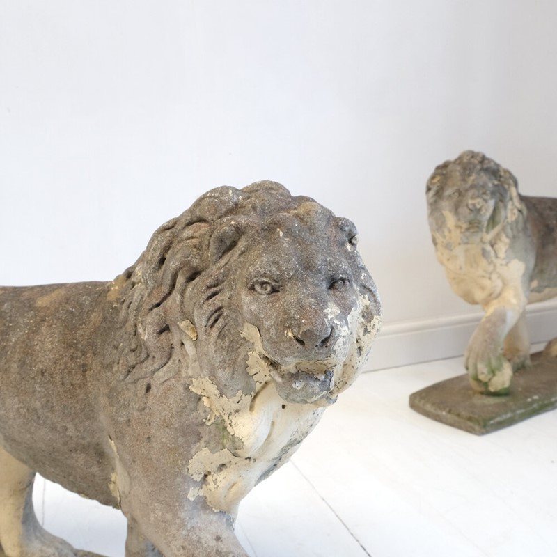 A Pair of English Stone Lions-hugos-antiques-img-9468-main-637423421651784177.JPG