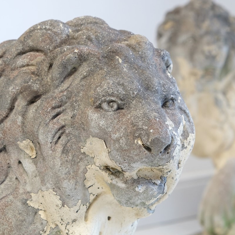 A Pair of English Stone Lions-hugos-antiques-img-9470-main-637423421530378200.JPG