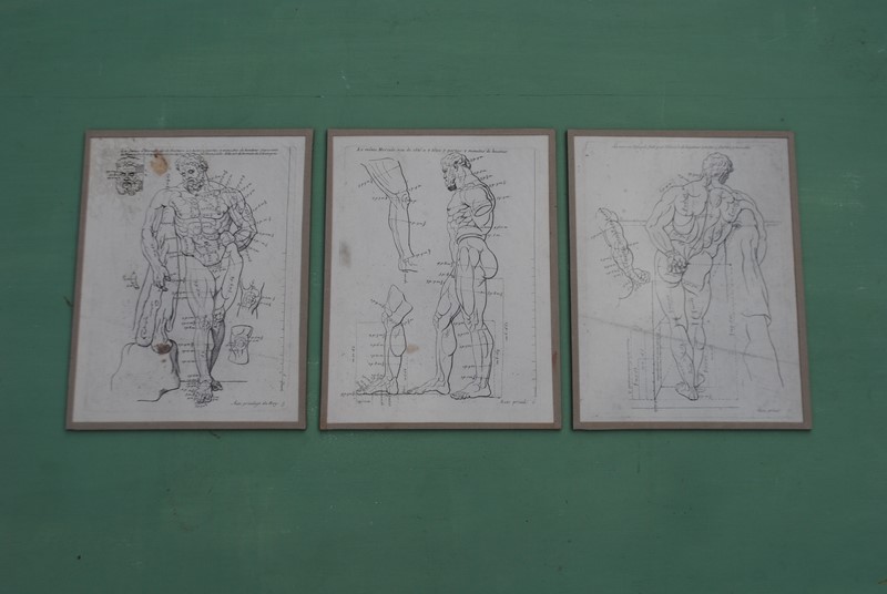 3 prints of the "Farnese Hercules" -inglis-hall-antiques-DSC_0388-main-636789453982516398.JPG